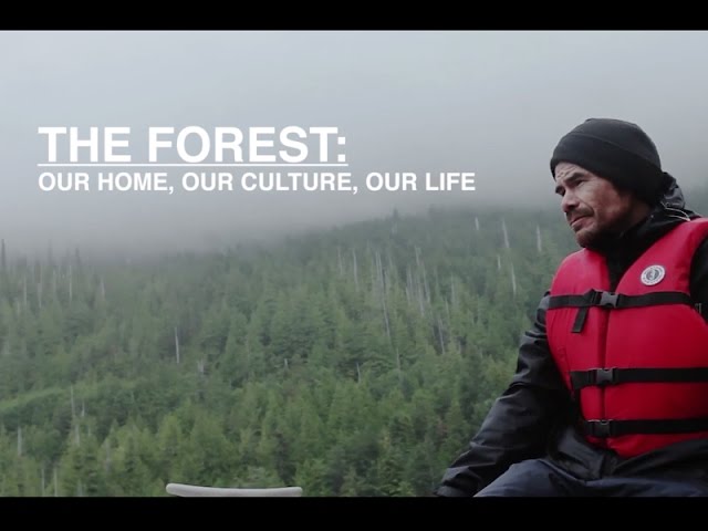 The Forest: Our Home, Our Culture, Our Life