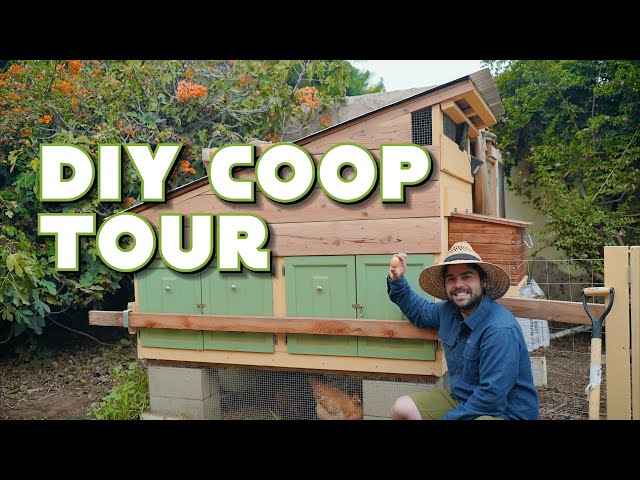 DIY Reclaimed Wood Chicken Coop - Full Tour & Tips