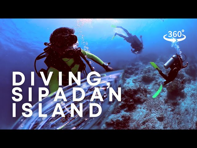 360 - Diving at Sipadan Island, Sabah