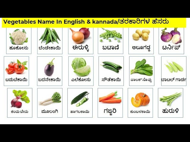 Vegetables vocabulary/Vegetables Name in English & Kannada/ಕನ್ನಡದಲ್ಲಿ ತರಕಾರಿಗಳ ಹೆಸರು/Cabbag-ಎಲೆ ಕೋಸು