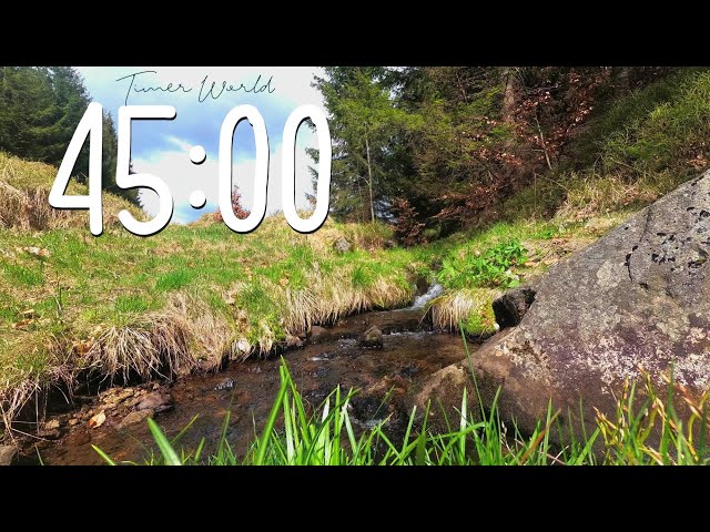 45 Minute Timer Waterfall Forest: Relaxing Nature Sounds for Study, Reading, Meditation
