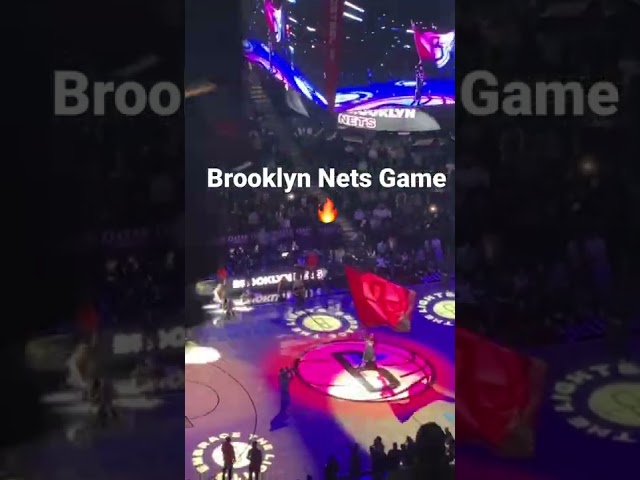 Went to a Nets game before they got swept