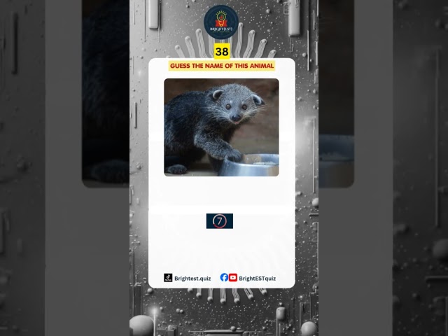 Guess the animal name challenge #triviachallenge #quizgame #fypシ゚viral #brightestquiz #animalshorts