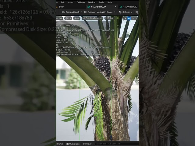 Realistic low poly Oil palm tree in Unreal Engine 5 #treemodel #3Dartist #UE5