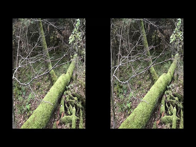 The Catskills in 3D for VR Headset and Anaglyph Glasses