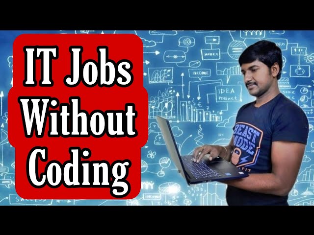 IT Jobs without Programming | NO coding Jobs in IT | Career Options after engineering and MCA,MBA