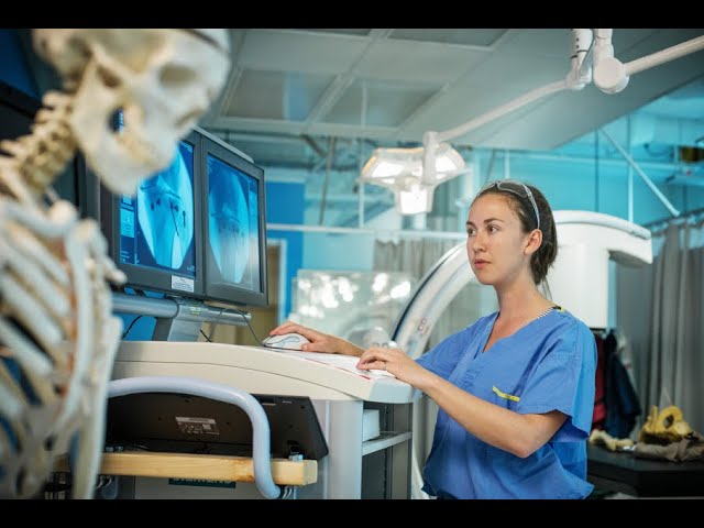 Biomedical Engineering - Virtual Program Fair 2025