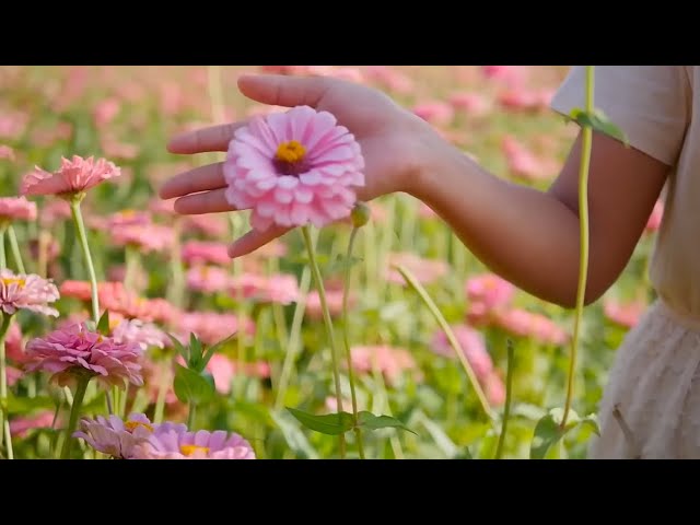 Lluvia de Primavera ( Spring Rain )