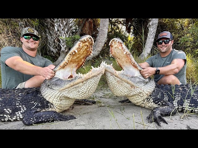 PUBLIC LAND ALLIGATOR HUNT! (2025 Opening Day)