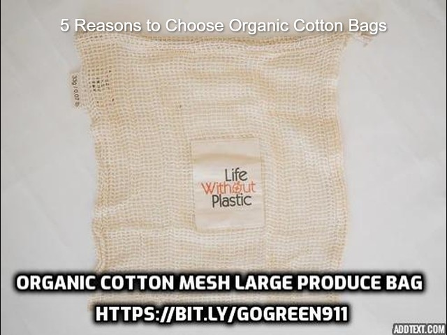 Want to Shop More Sustainably? Discover 5 Reasons to Choose Organic Cotton Bags