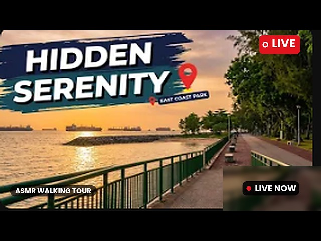 🔴 LIVE Walking ASMR — East Coast Park, Singapore