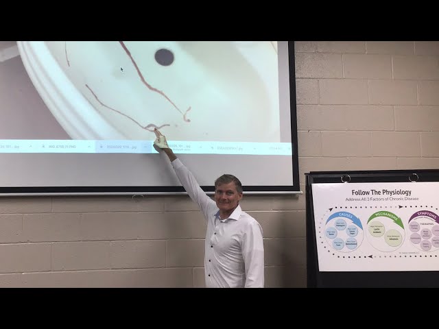 Parasites In You! Let’s Take A Tour!