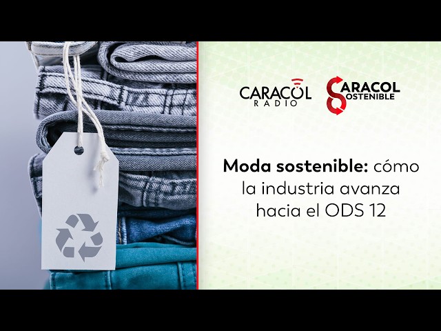 Moda sostenible: ¿cómo avanza la industria hacia la economía circular? | Caracol Sostenible