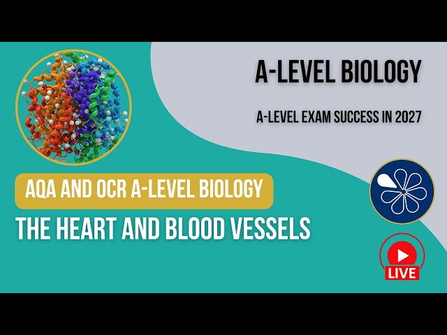 The Heart and Blood Vessels | AQA and OCR A-Level Y1 Biology