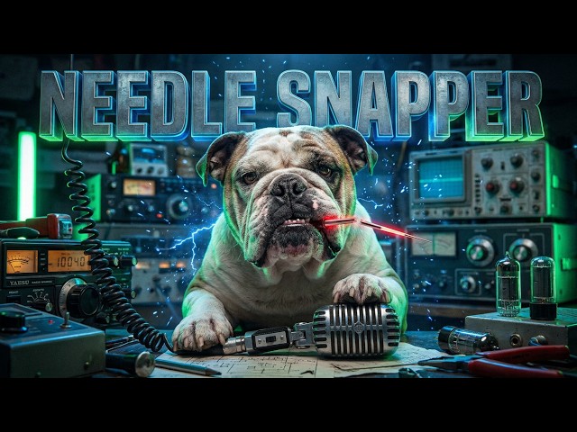#live Live in the Needle Snapper Command Center Chicago IL