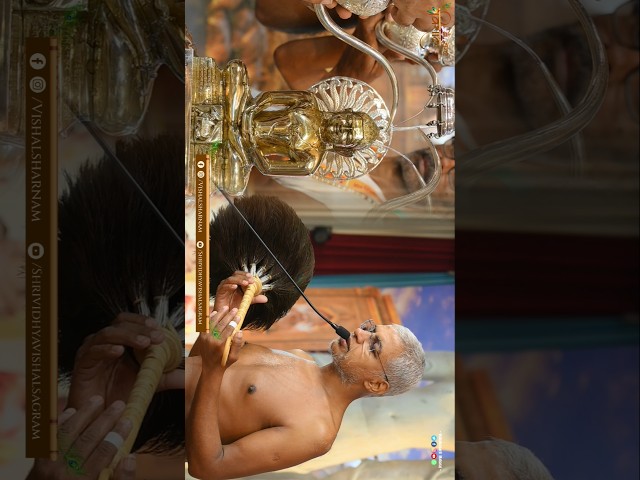 श्रावक संस्कार शिविर बेंगलुरु झलकियाँ | Muni Vishalsagarji #विद्याकेविशाल #youtubeshorts