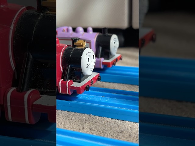 TAHSF updates: Rosie