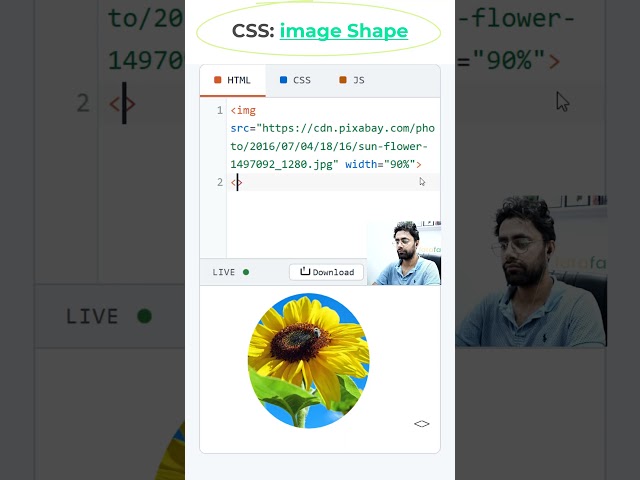 HTML Image Ellipse Shape Outside #coding #htmltutorial #csstutorial