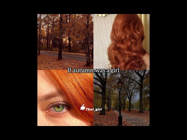 What season beauty you have?🦋#season #winter #spring #summer #autumn