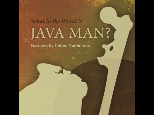 What in the World is Java Man? Audiobook by Alex Hauser