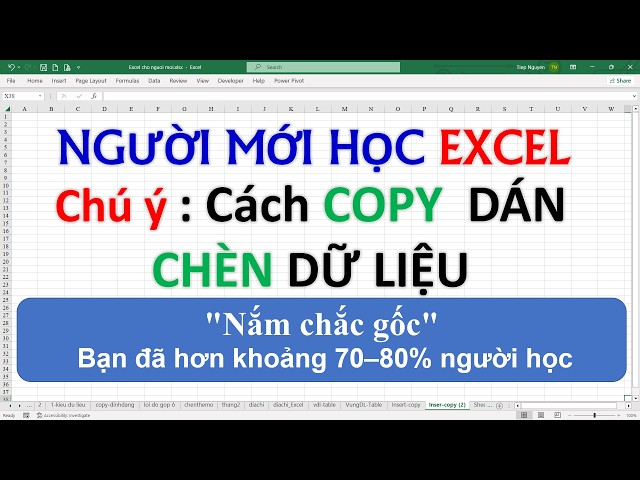 EXCEL FOR BEGINNERS: Important Tip - How to Copy and Insert Cells in Excel