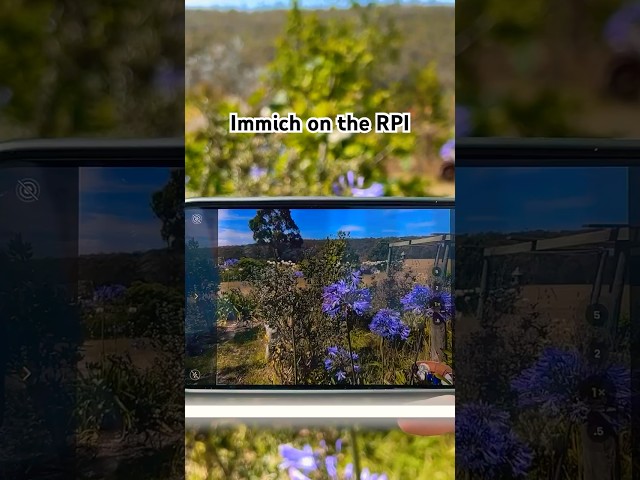 Keeping photos safe with a Raspberry Pi and Immich