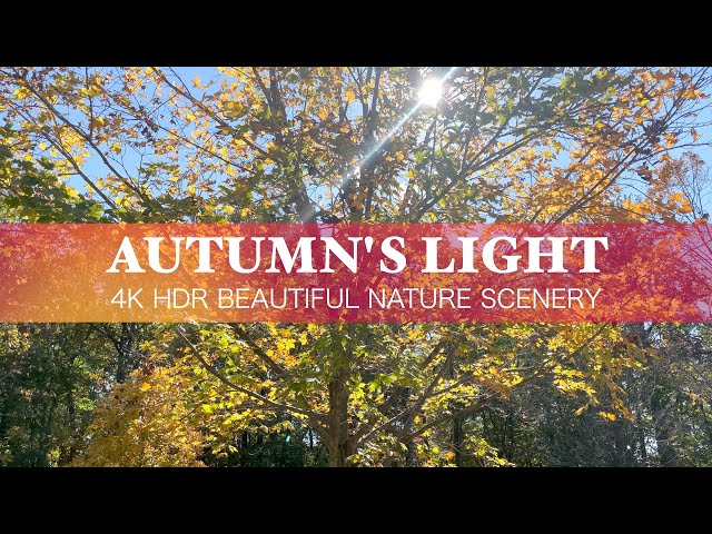 4K HDR Nature: Autumn’s Light (2021) | Black Hill Regional Park