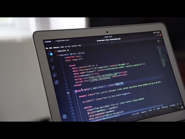 Python Programming Basics for Beginners