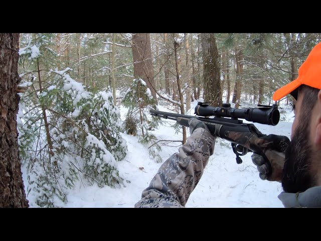 Tracking the Crunch Buck - Hunting with the grunt call