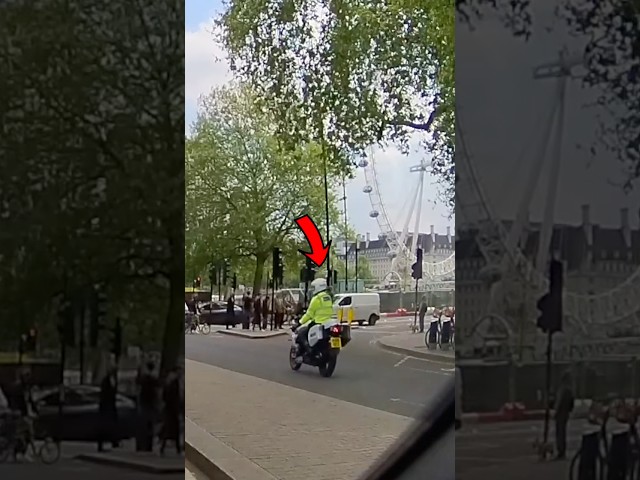 Did we just see the king!?