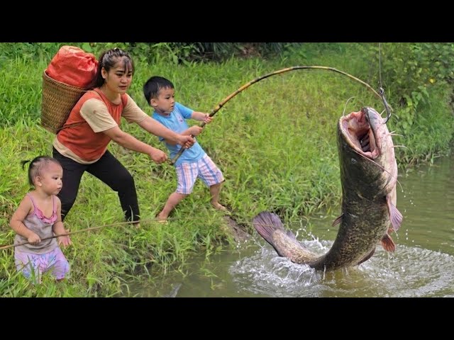 Wilderness fishing. Stocking special fish species.