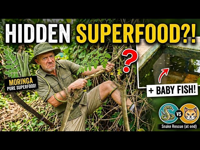 Ep.19 - Finding Hidden Superfoods & Saving a Wild Snake! (Thai Garden Tour)