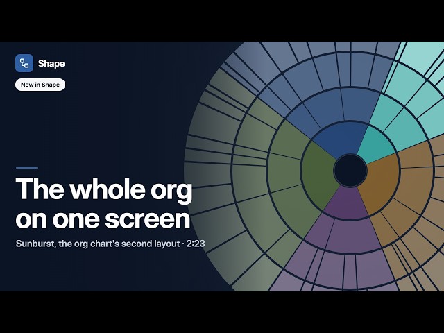 Sunburst in Shape: the whole organization on one screen (new layout)