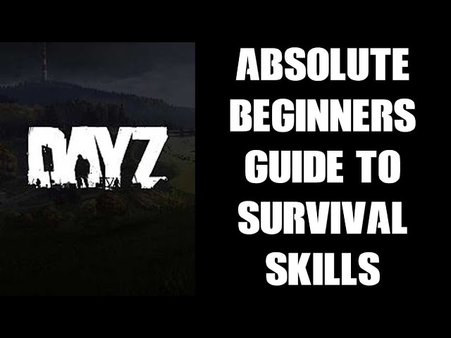 Absolute Beginners Guide To Basic Survival Actions & Skills In DayZ: Opening Cans To Loading Guns