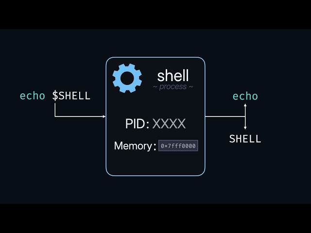 How the Shell Works