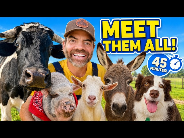 Learn About Real Farm Animals With Farmer Jason 🐮 Farm Animals For Toddlers & Preschoolers