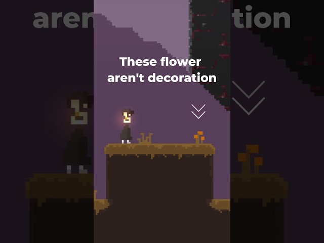 These flowers aren't decoration