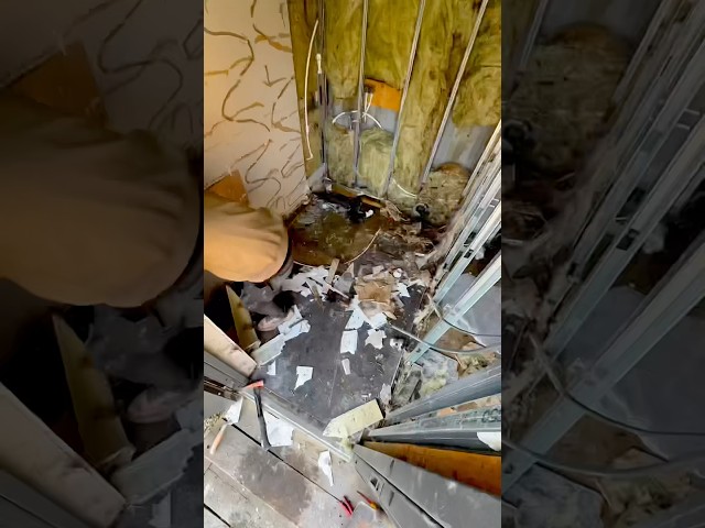 7 days. One epic wet room upgrade. Watch the 60s transformation #shorts #howto #diy #timelapse