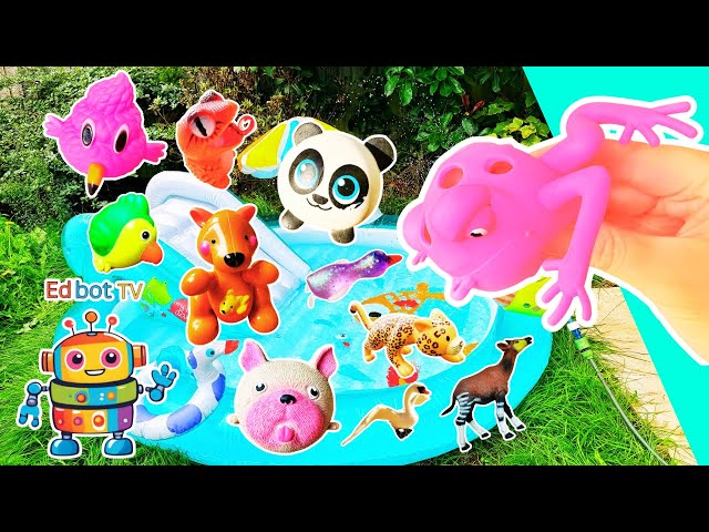 Animal Names | Kids Learn at the Croc Pool: Frog Okapi Chameleon Flamingo Dog