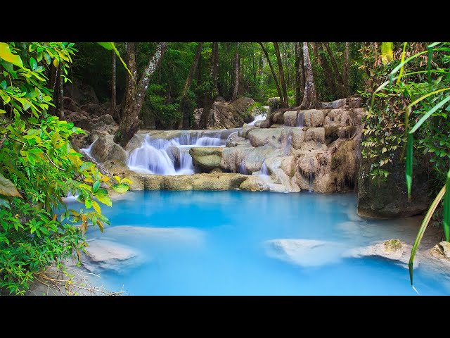 Relaxing Music Antistress and Anxiety • Relaxation Music to Blank the Mind