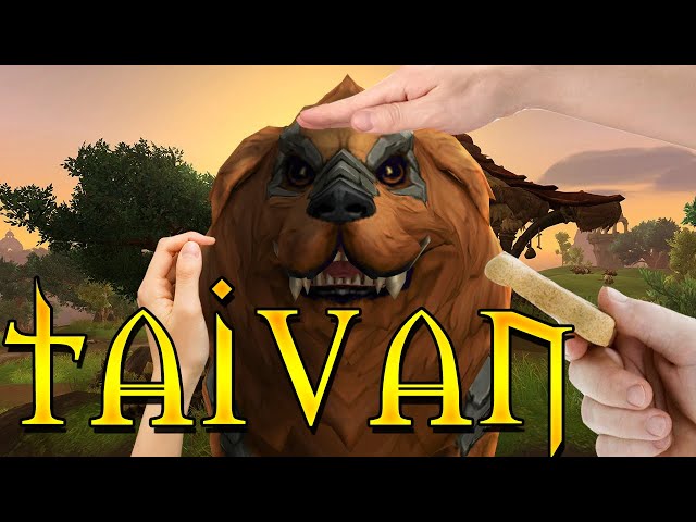 The Story of Taivan - The Bestest Boy  [Lore]
