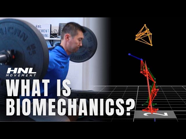 What is Biomechanics? Biomechanics in Life & Sports
