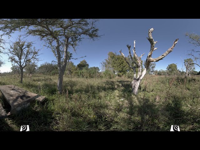 Everglades Abandoned Picnic Area 2