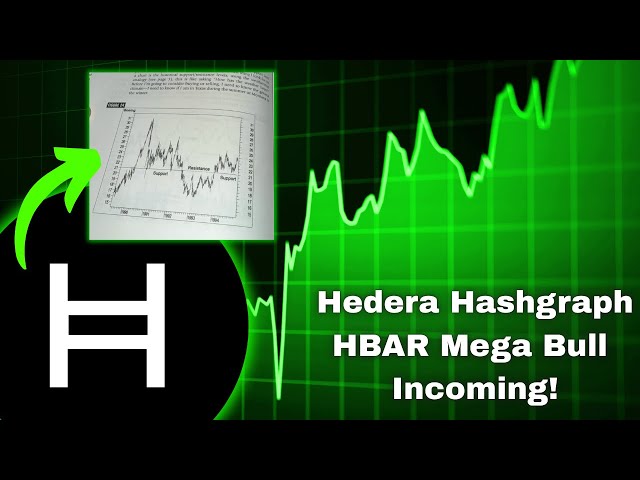 Hedera Hashgraph HBAR Mega Bullrun Is Coming!! Just Like Boeing Out Of The 90s....
