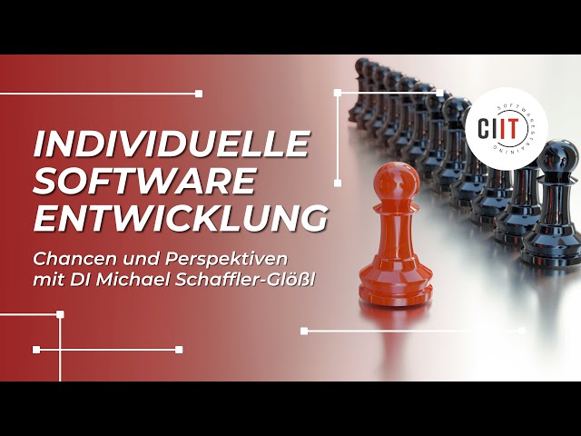 Individuelle Softwareentwicklung - Chancen und Perspektiven