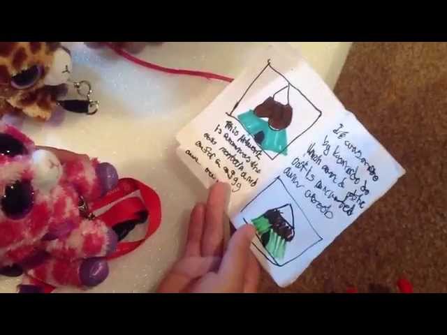 Sucked in a Book-Part 1