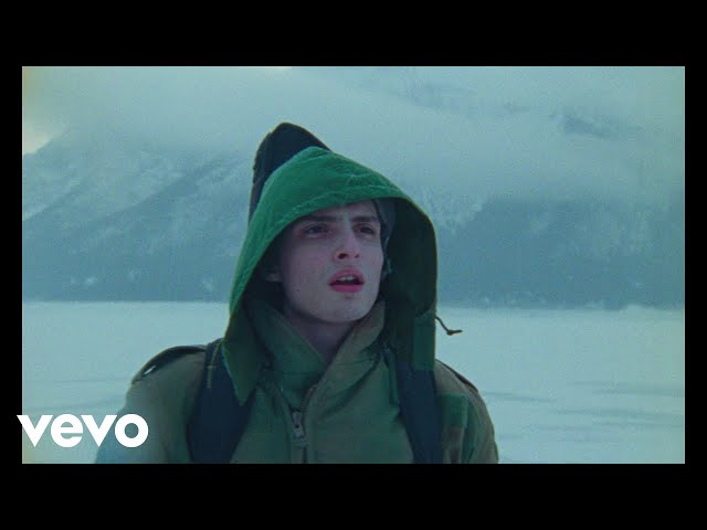 Finn Wolfhard - Objection! (Official Music Video)
