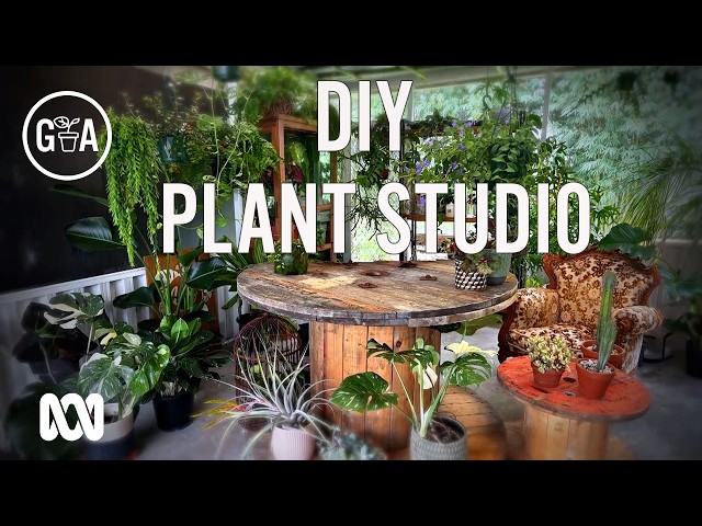How to Create Your Own Indoor Plant Studio | Gardening Australia