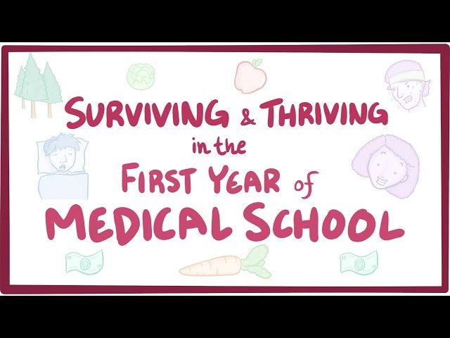 Surviving & thriving in the first year of medical school