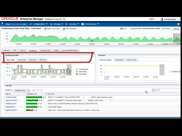 Manage Database Performance with the Performance Hub in EM Express 12c